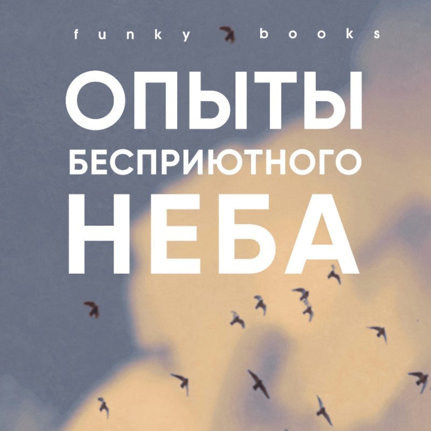 Обложка книги «Опыты бесприютного неба»