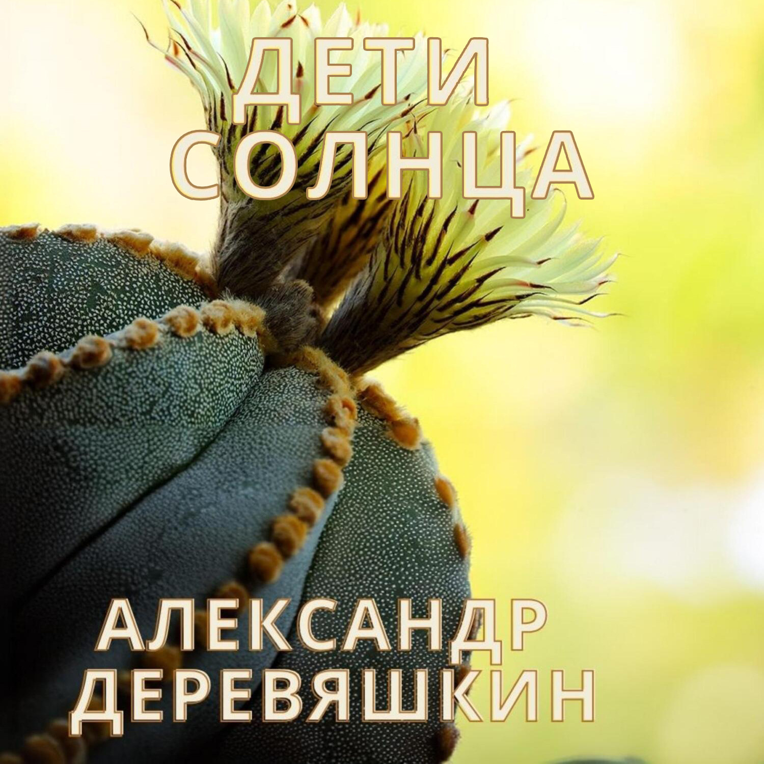 Обложка книги «Дети солнца»