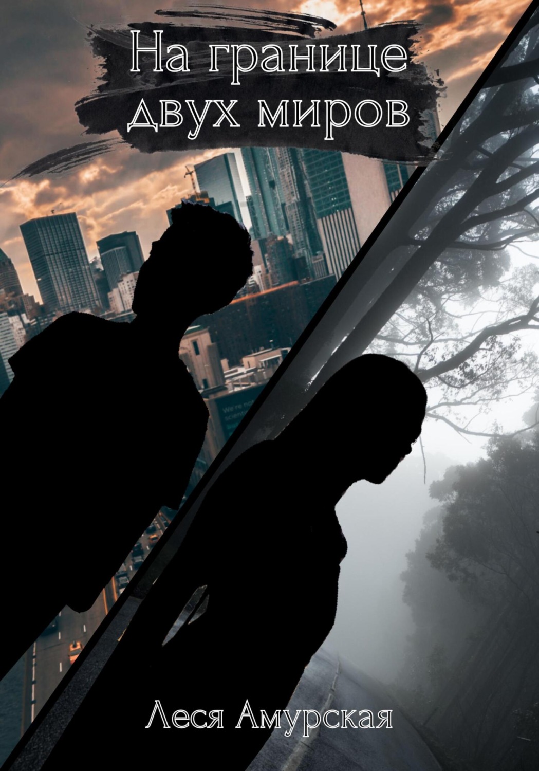 Обложка книги «На границе двух миров»