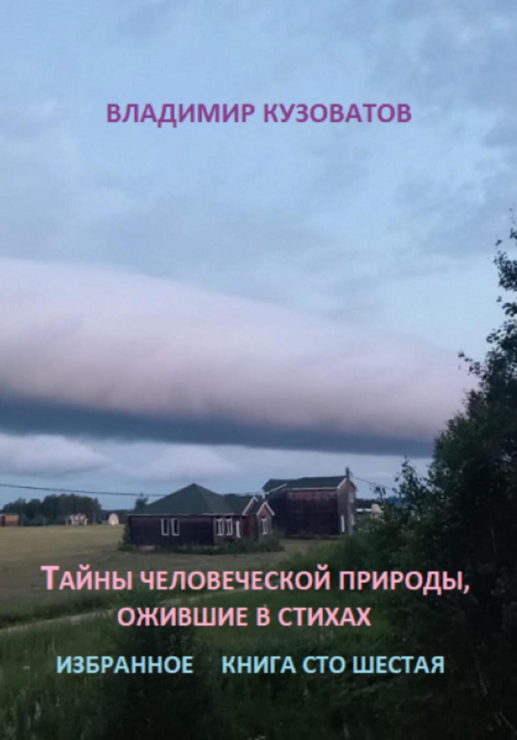 Обложка книги «Тайны человеческой природы, ожившие в стихах. Книга сто шестая»