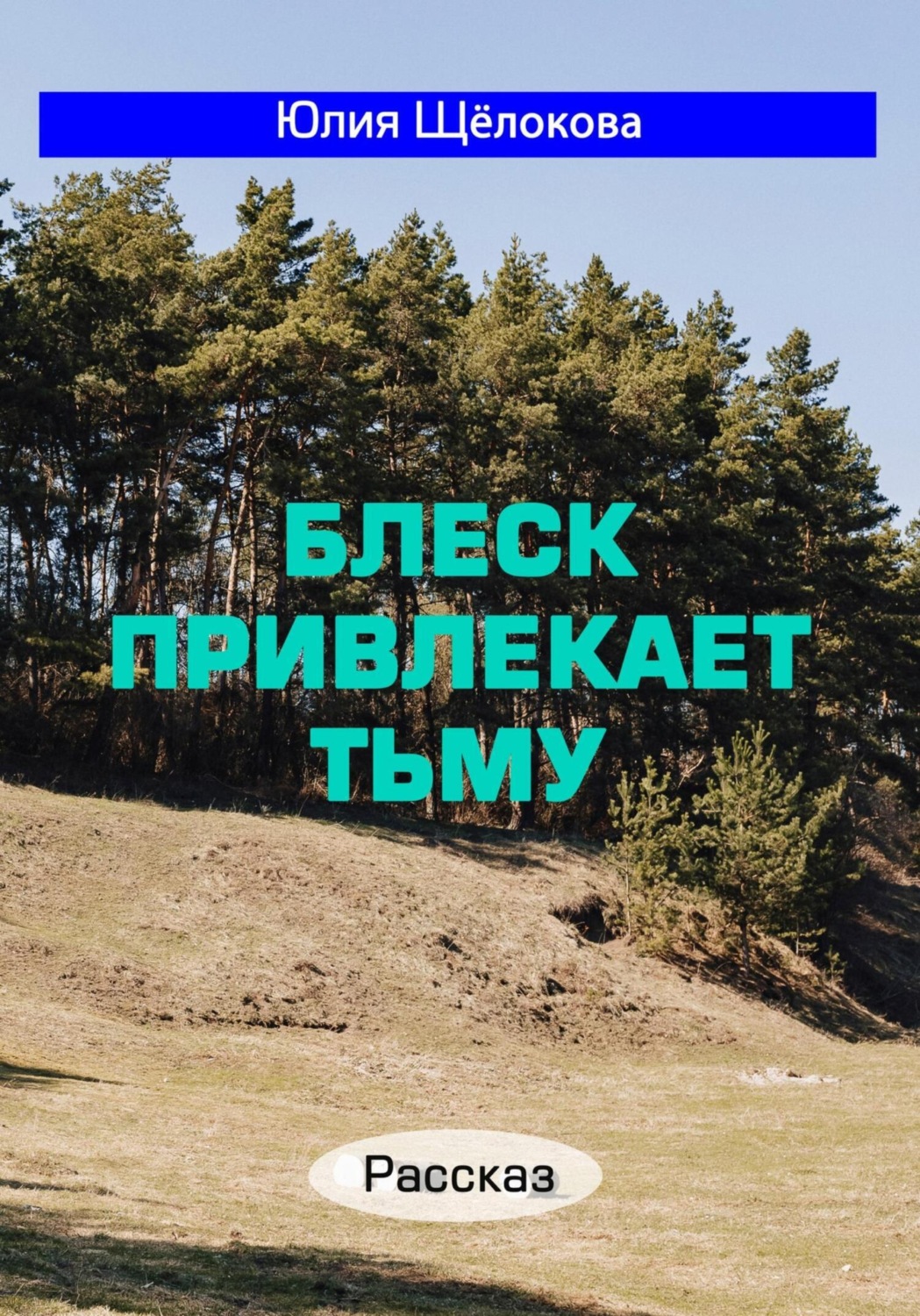 Обложка книги «Блеск привлекает тьму»