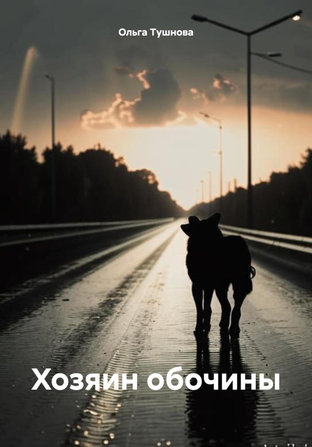 Обложка книги «Хозяин обочины»