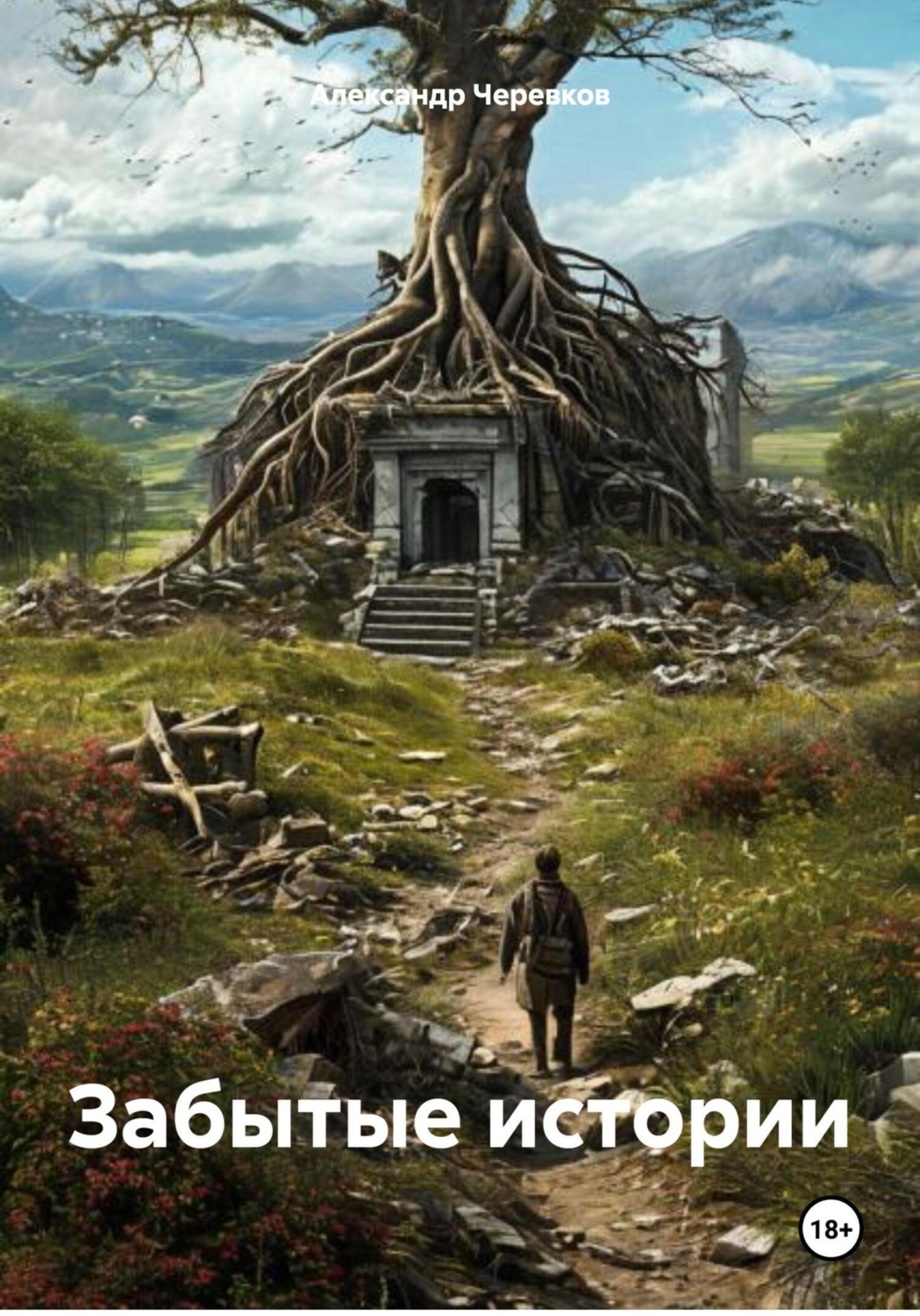 Обложка книги «Забытые истории»