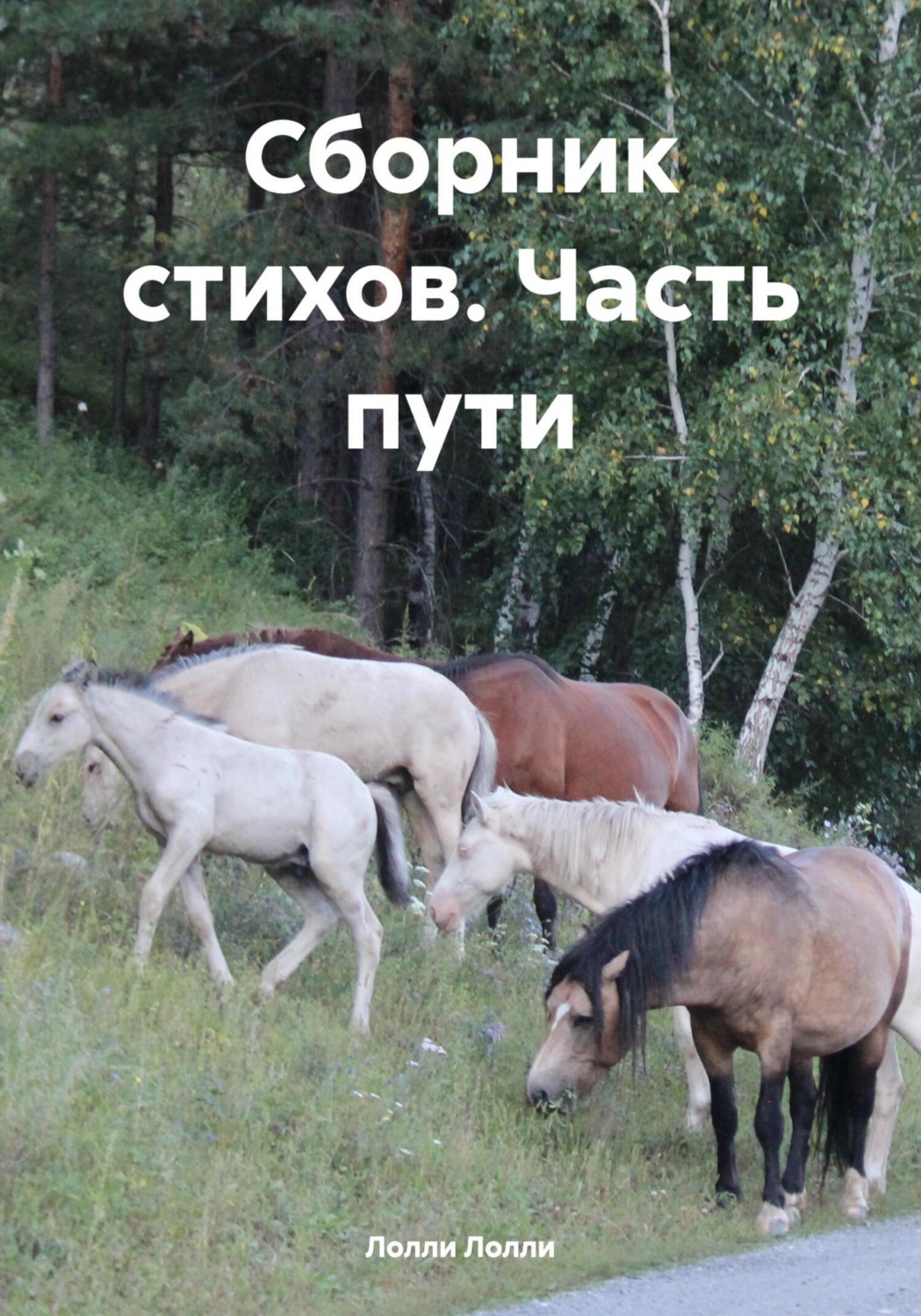 Обложка книги «Сборник стихов. Часть пути»