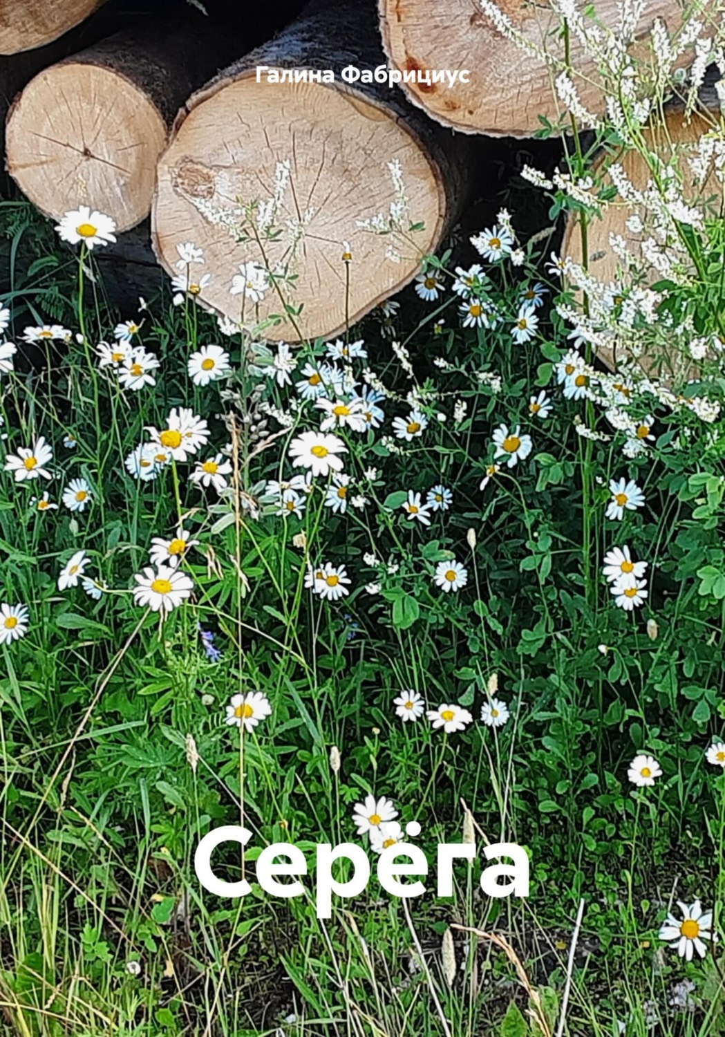 Обложка книги «Серёга»