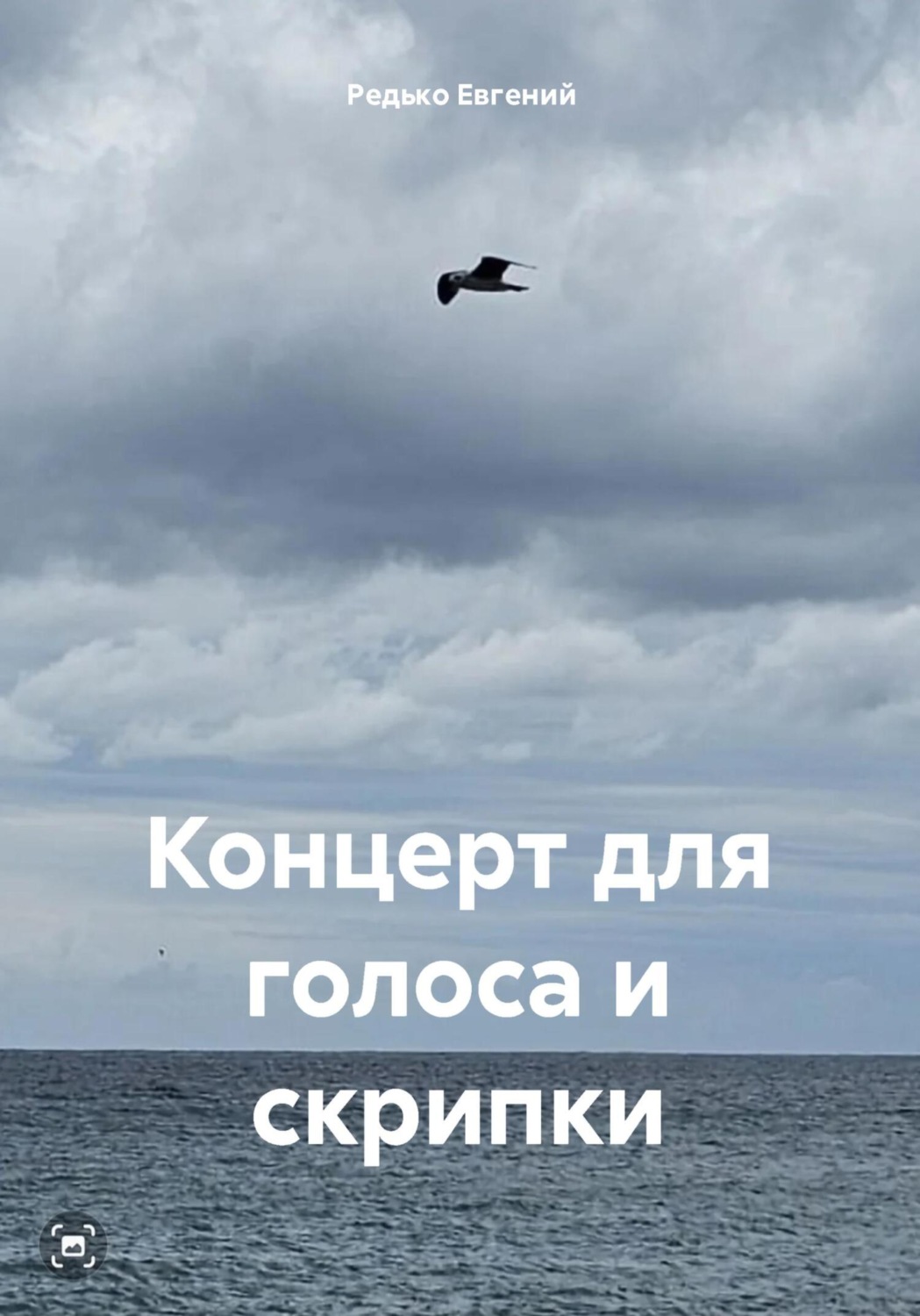 Обложка книги «Концерт для голоса и скрипки»