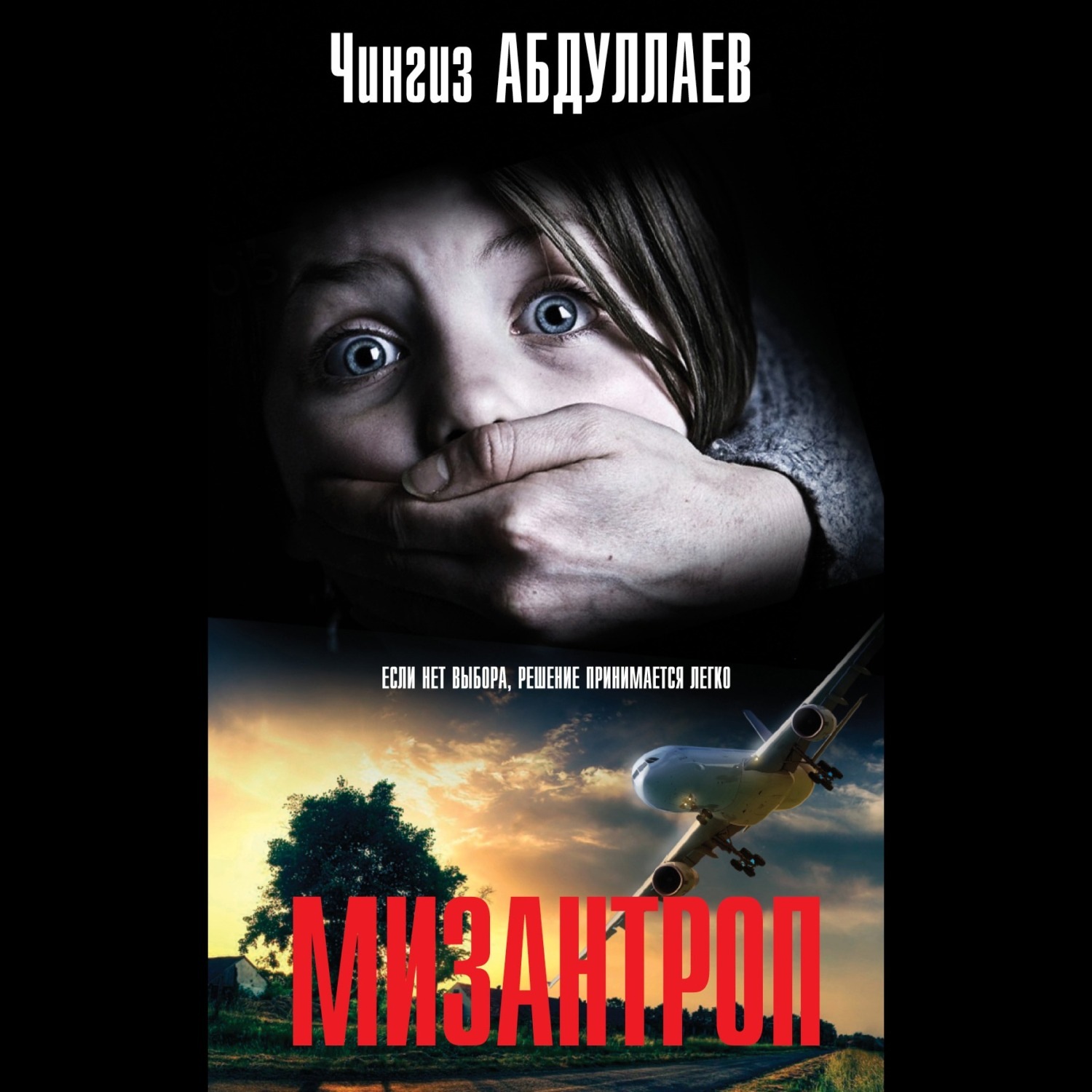 Обложка книги «Мизантроп»