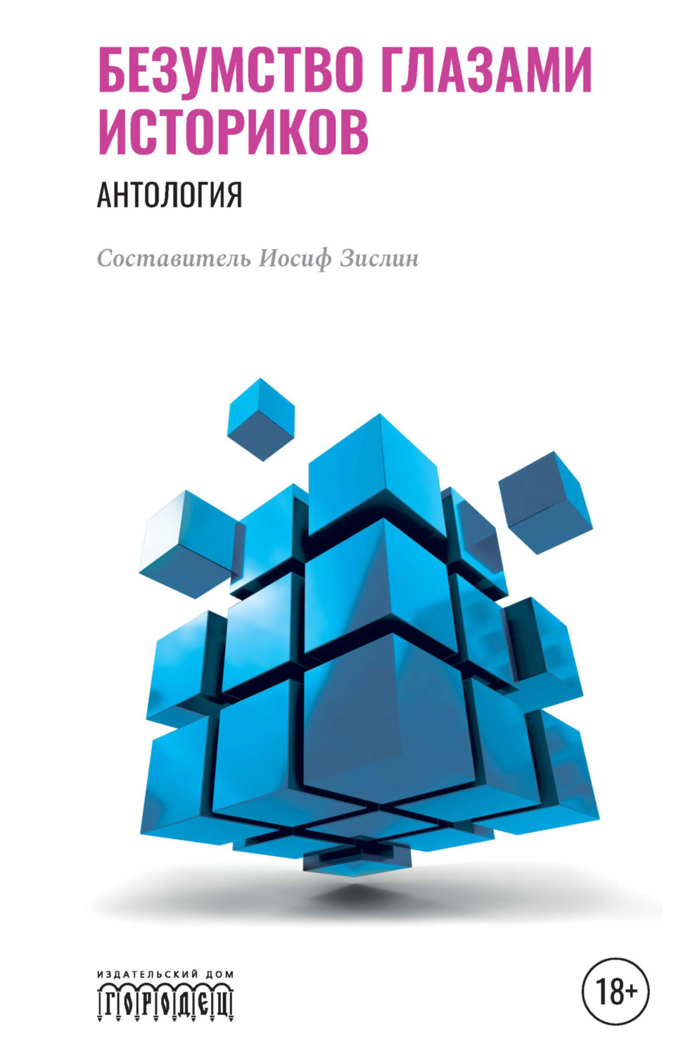 Обложка книги «Безумство глазами историков»