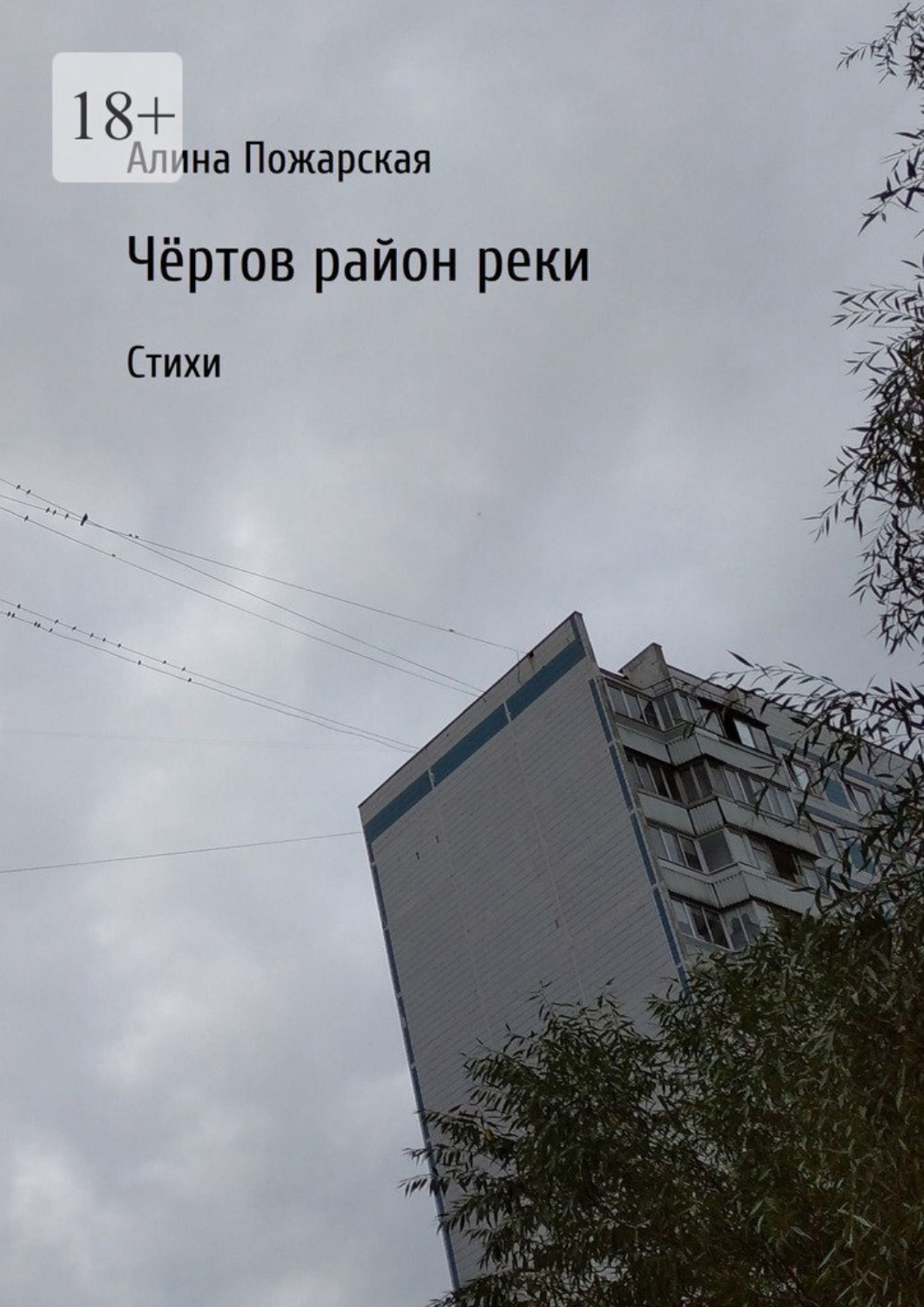 Обложка книги «Чёртов район реки. Стихи»