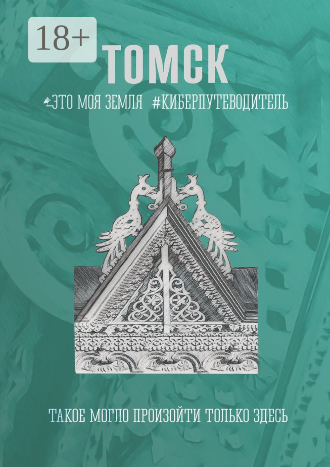 Обложка книги «Томск. Это моя земля. Киберпутеводитель»