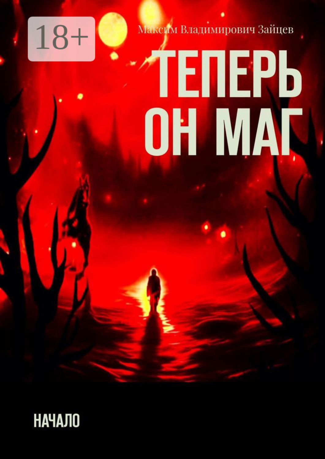 Обложка книги «Теперь он маг. Начало»