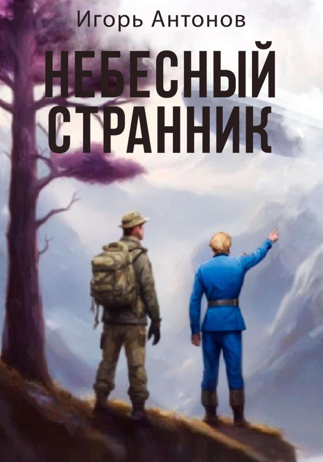 Обложка книги «Небесный странник»