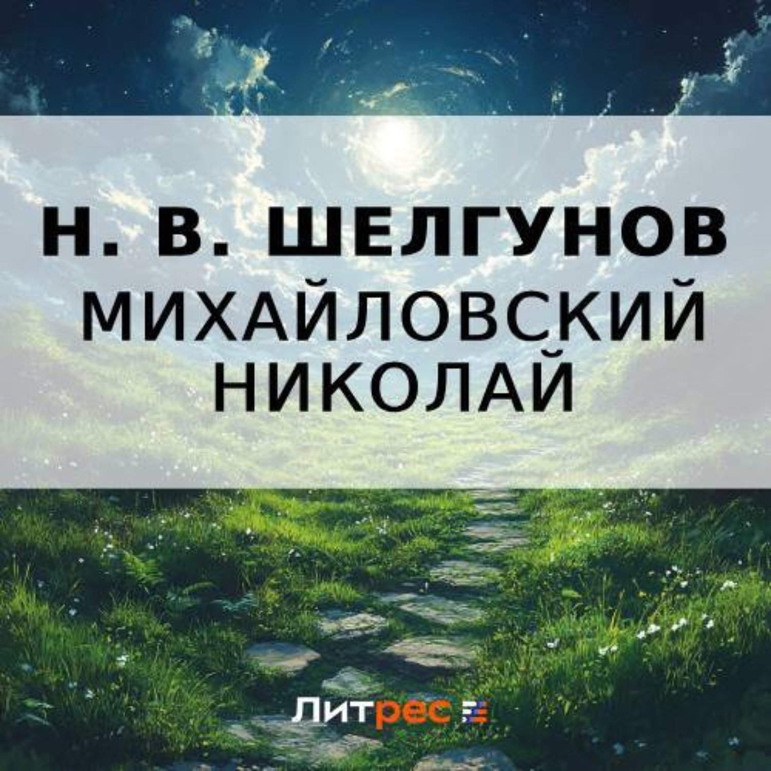 Обложка книги «Н. В. Шелгунов»