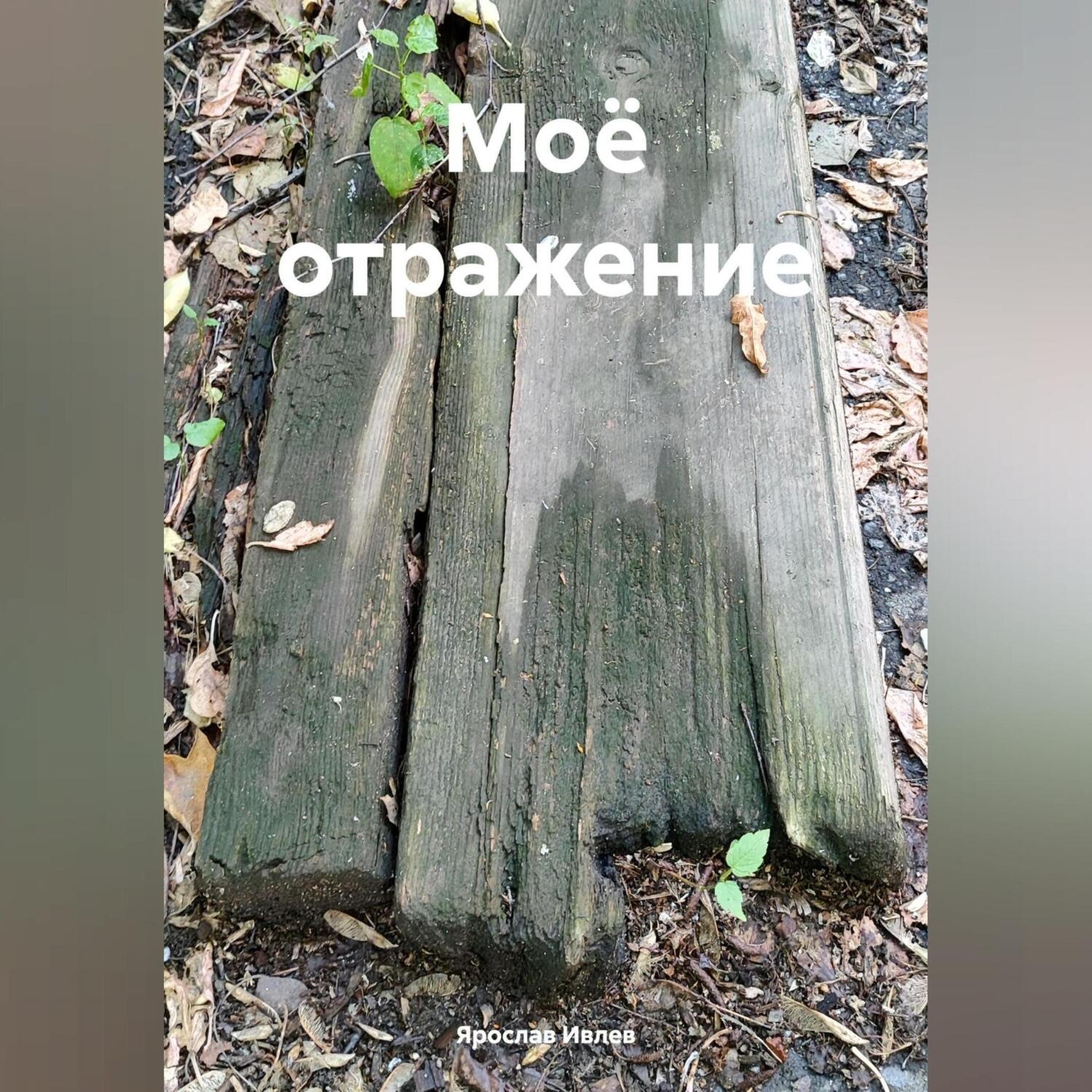 Обложка книги «Моё отражение»