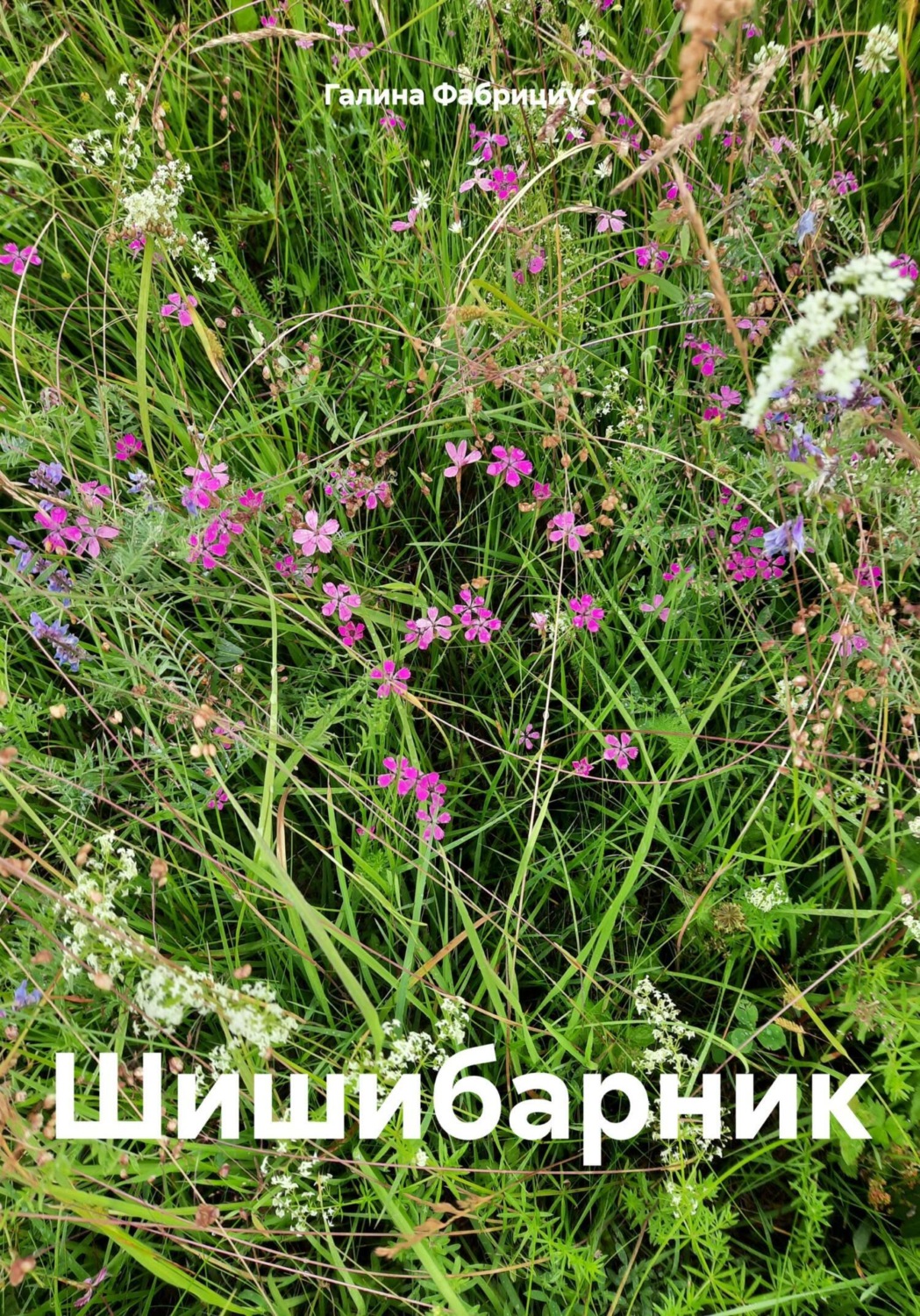 Обложка книги «Шишибарник»