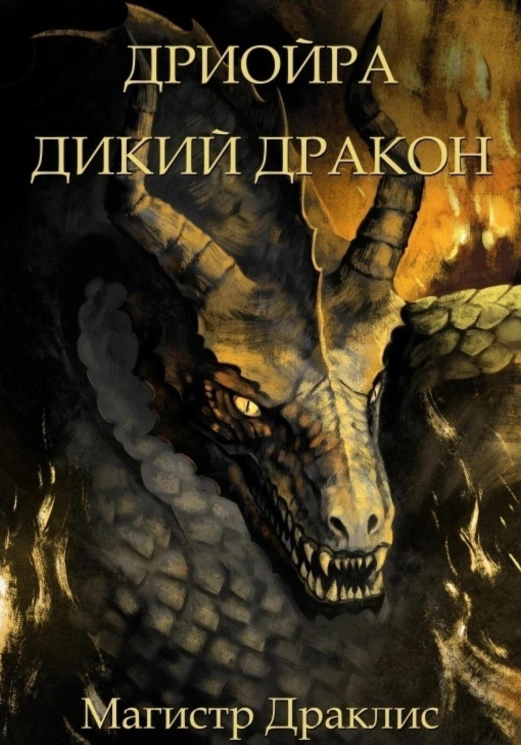 Обложка книги «Дриойра. Дикий дракон»