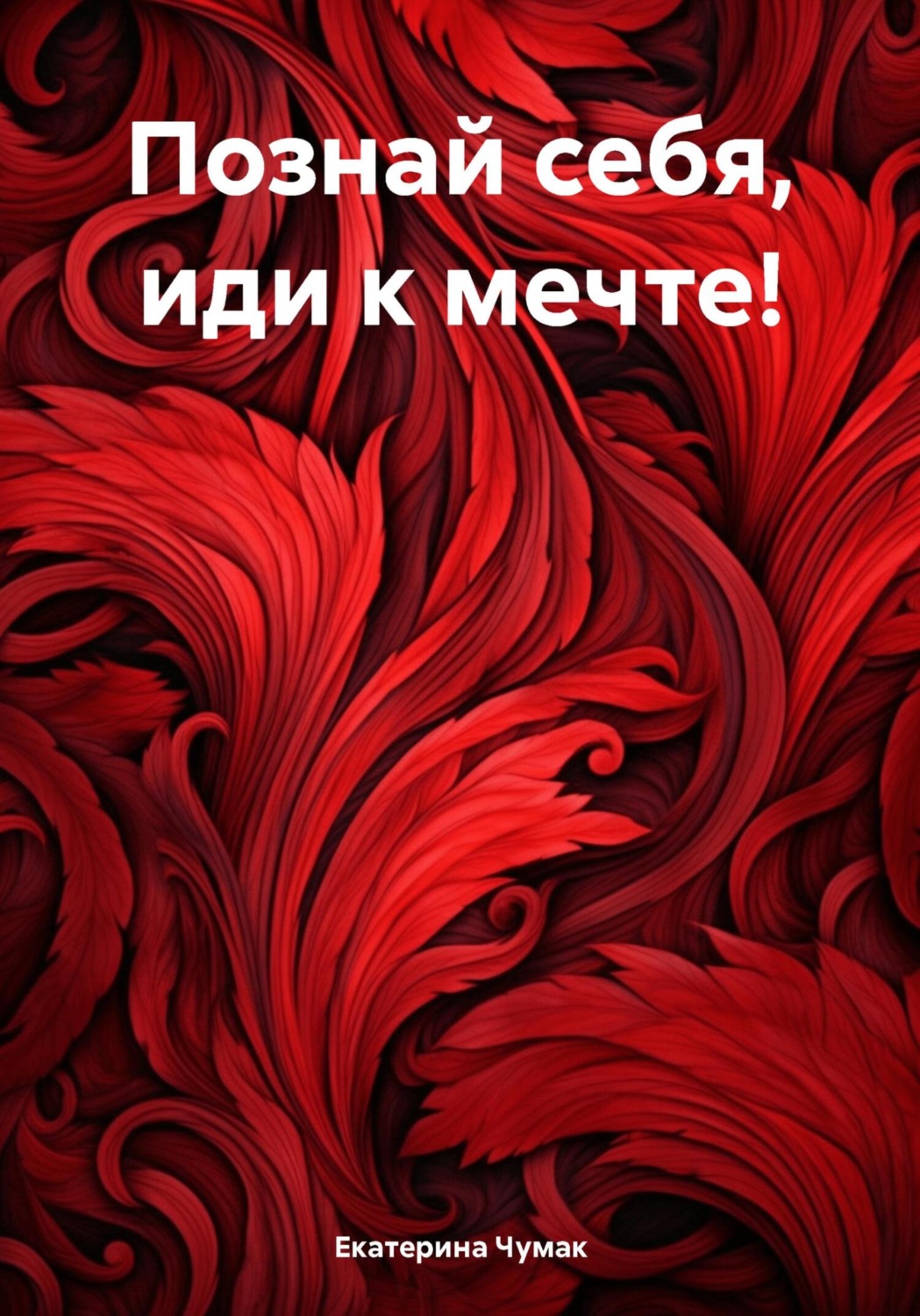 Обложка книги «Познай себя, иди к мечте!»