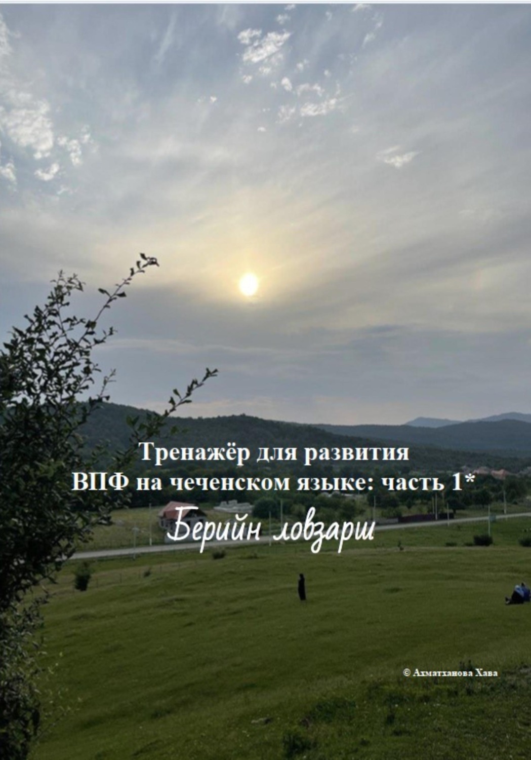 Обложка книги «Тренажёр для развития ВПФ на чеченском языке: часть 1. Берийн ловзарш»