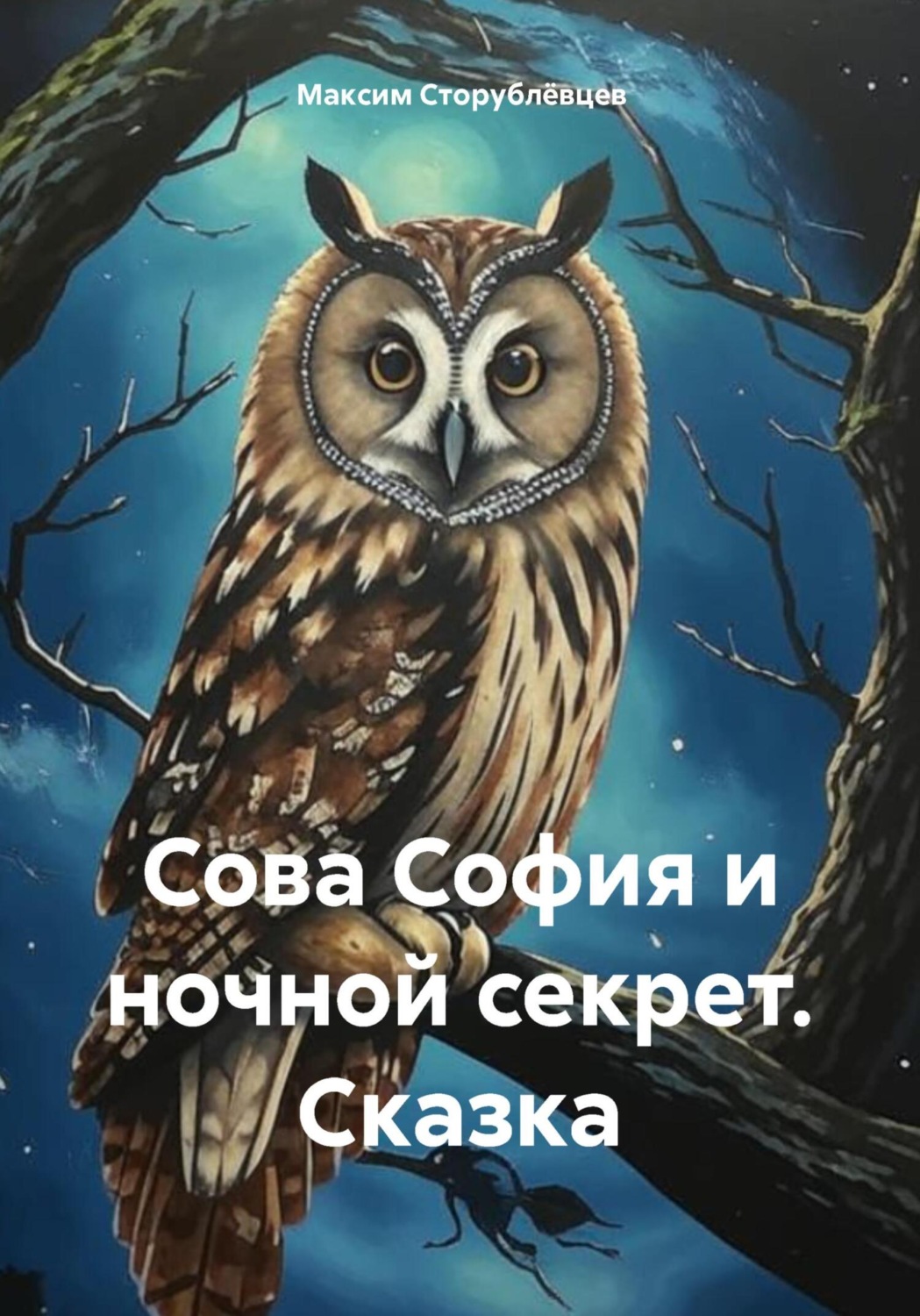 Обложка книги «Сова София и ночной секрет. Сказка»