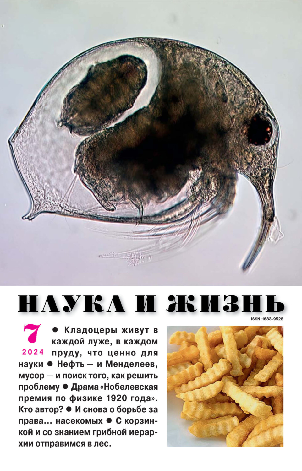 Обложка книги «Наука и жизнь №07/2024»