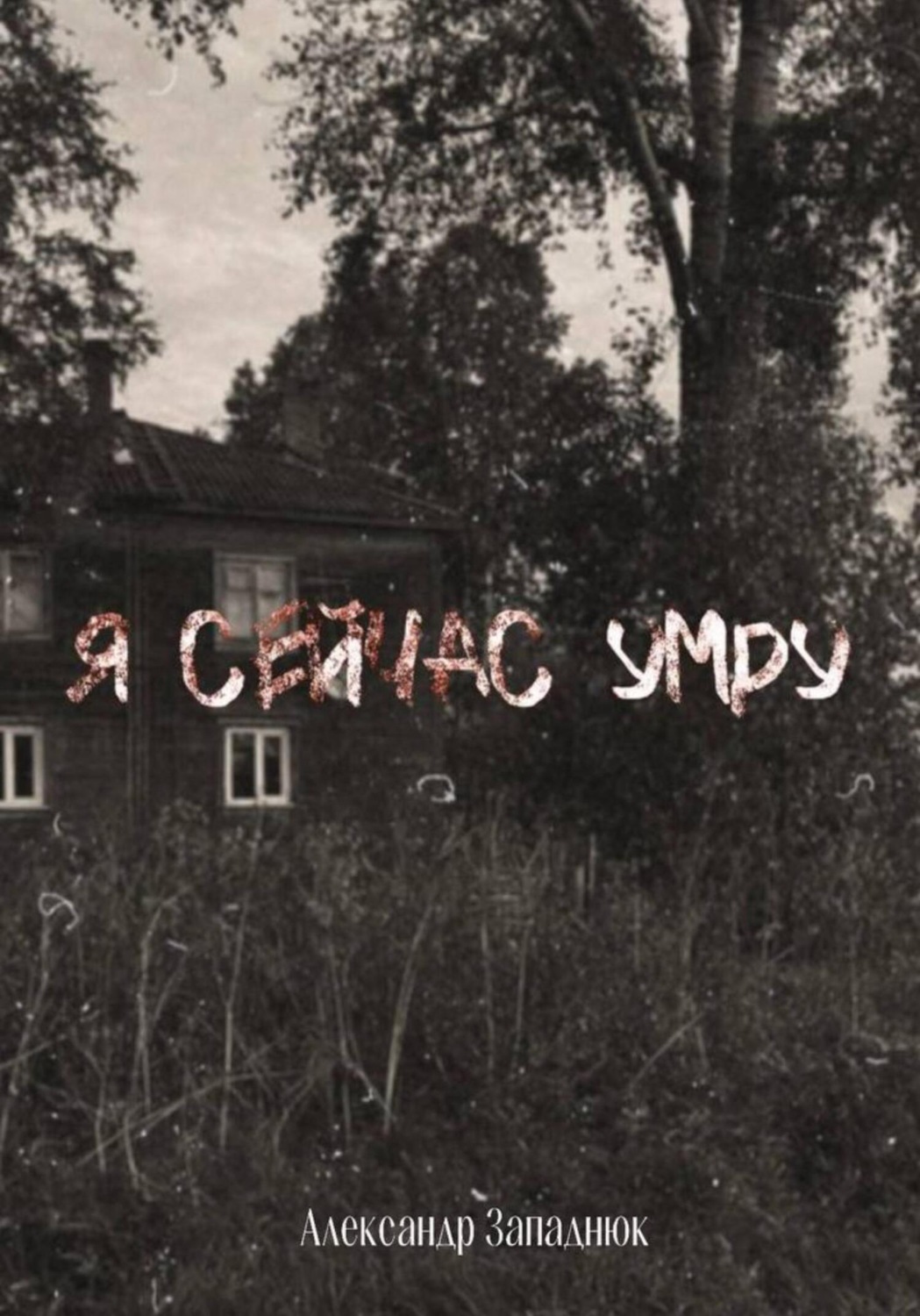 Обложка книги «Я сейчас умру»