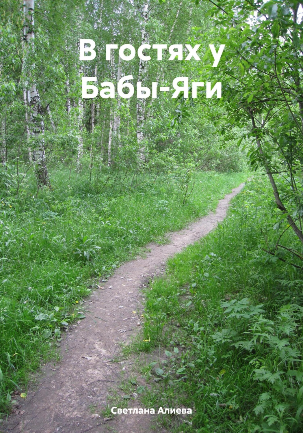 Обложка книги «В гостях у Бабы-Яги»
