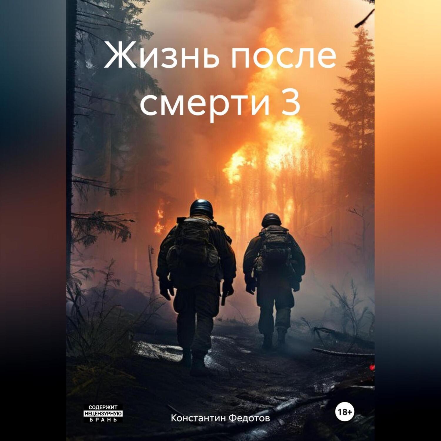 Обложка книги «Жизнь после смерти 3»