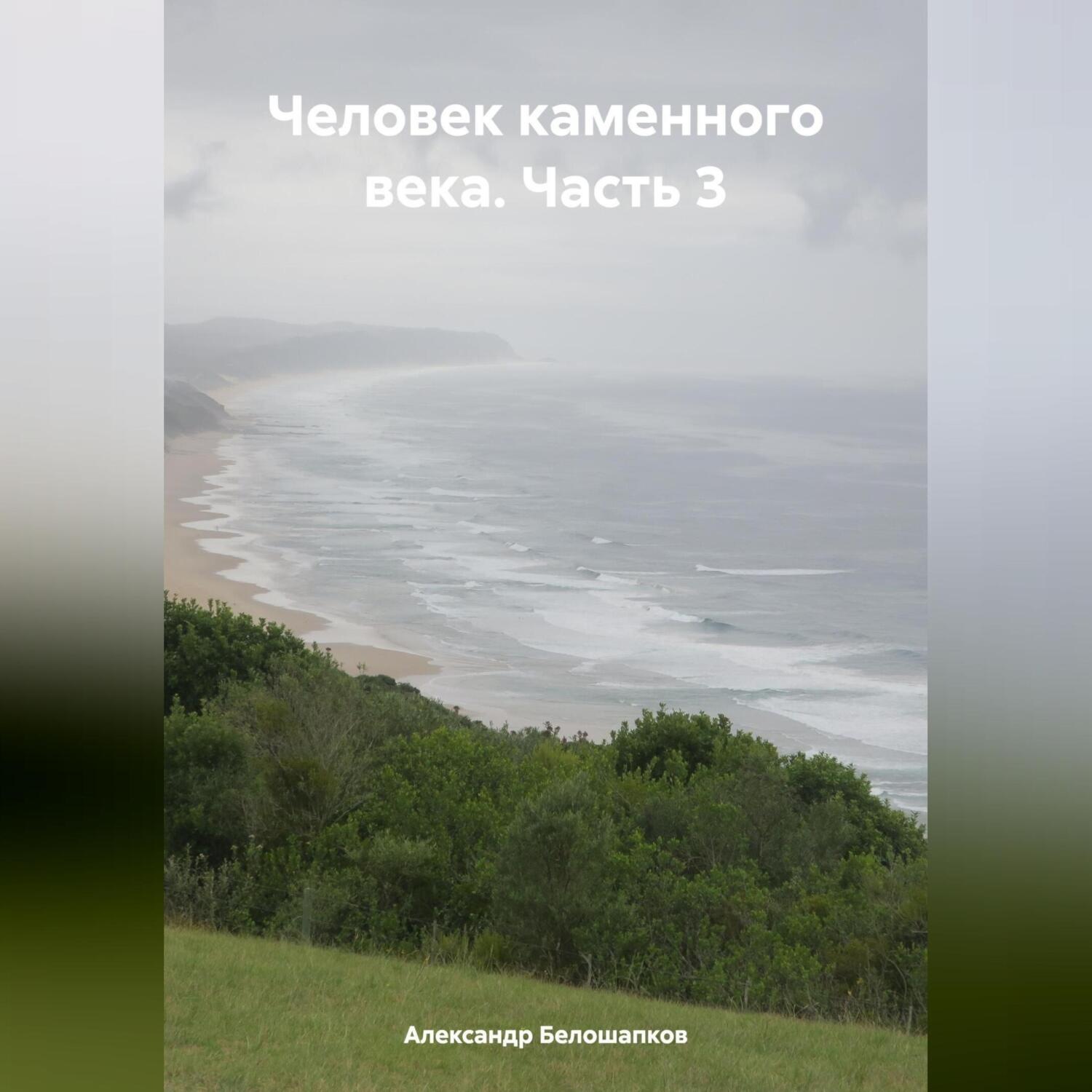 Обложка книги «Человек каменного века. Часть 3»