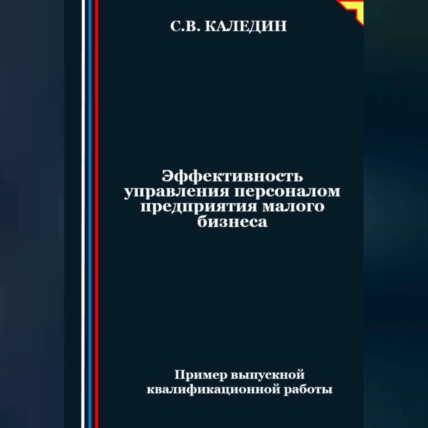 Обложка книги «Эффективность управления персоналом предприятия малого бизнеса»