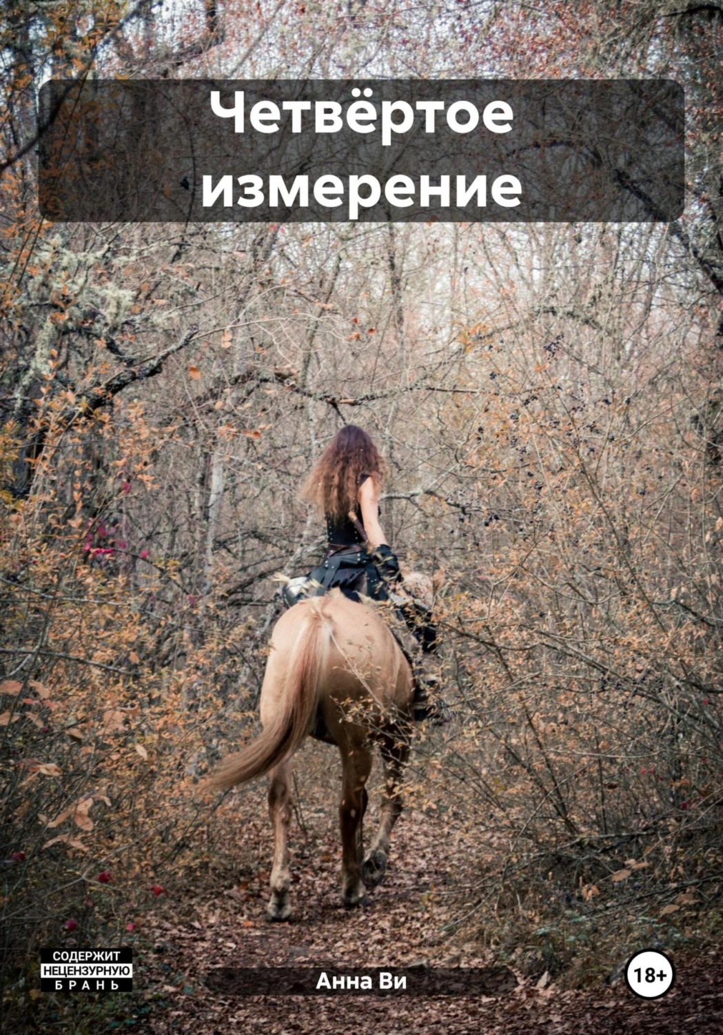 Обложка книги «Четвёртое измерение»