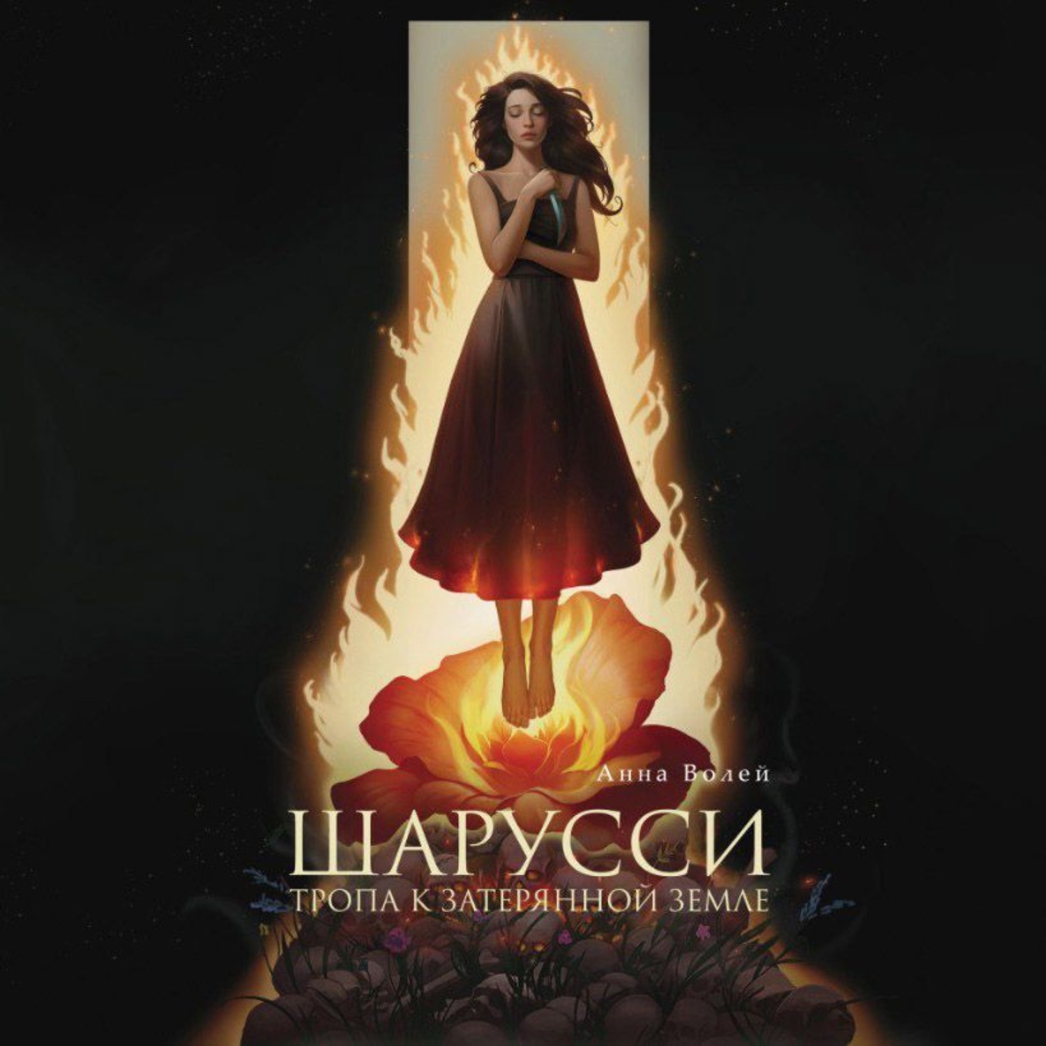 Обложка книги «Шарусси. Тропа к затерянной земле»