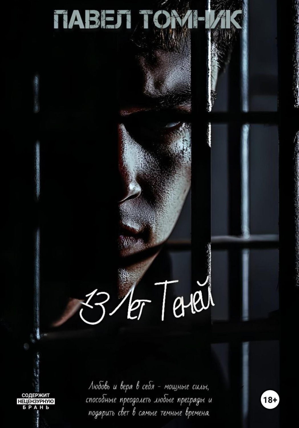 Обложка книги «13 лет Теней»