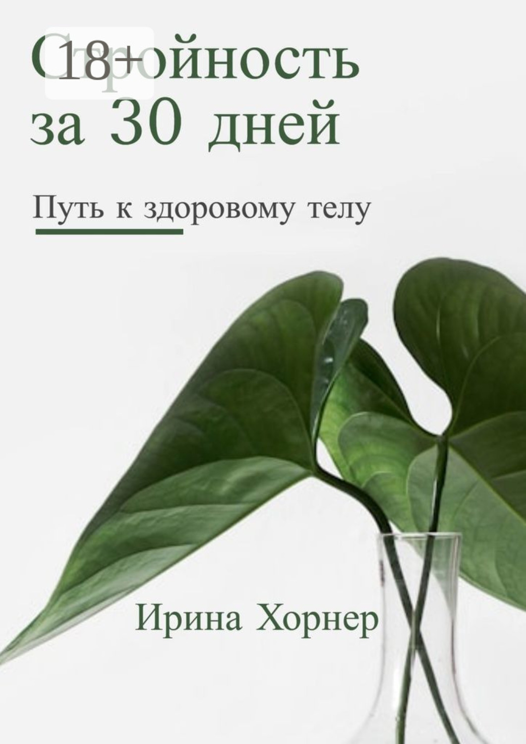 Обложка книги «Стройность за 30 дней: Путь к здоровому телу»