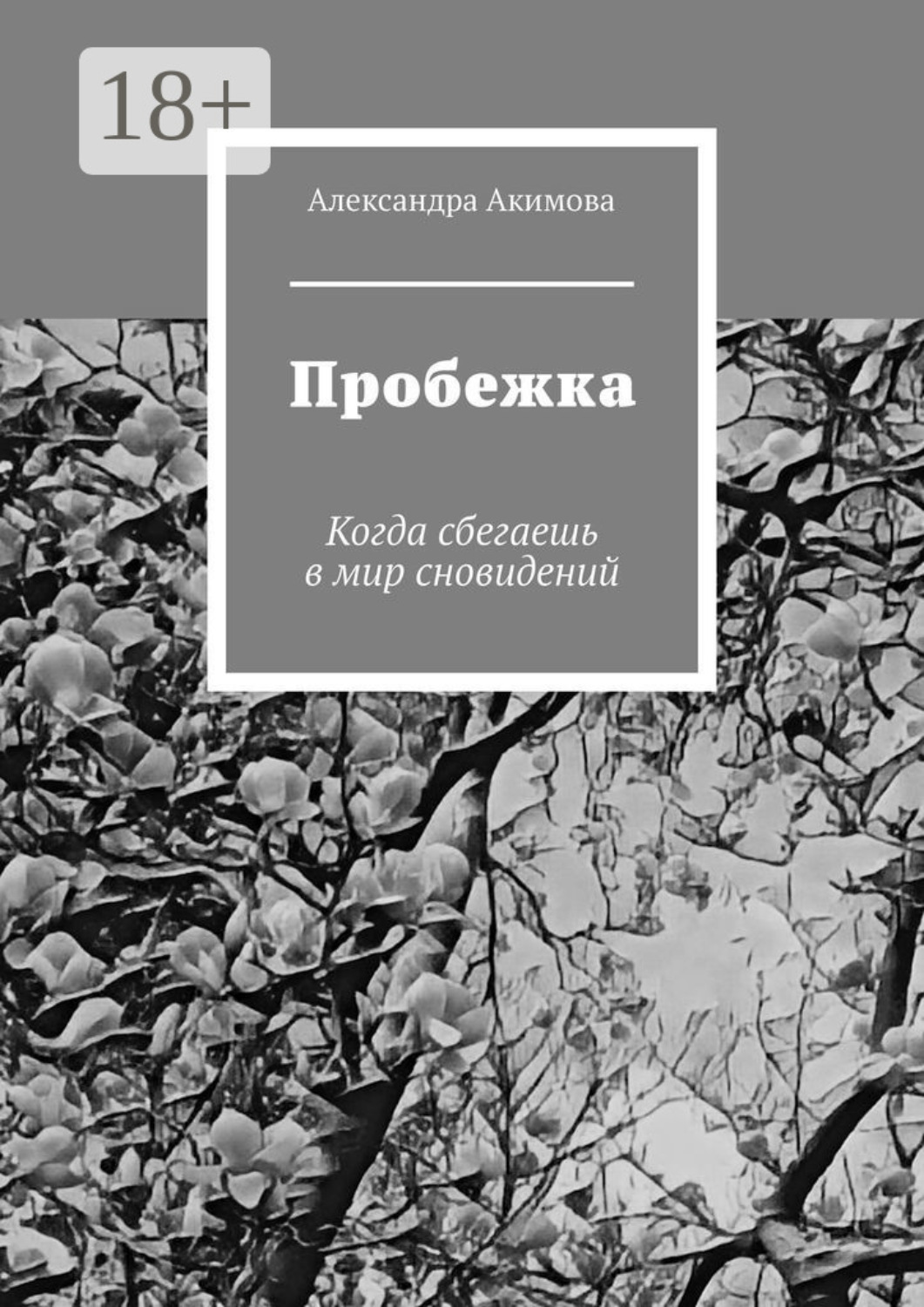 Обложка книги «Пробежка. Когда сбегаешь в мир сновидений»