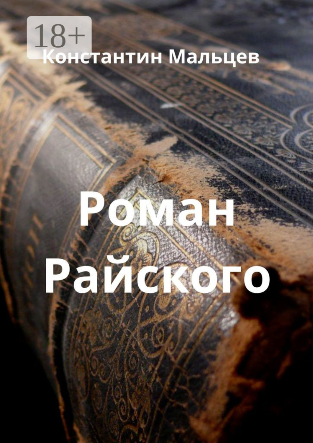 Обложка книги «Роман Райского»