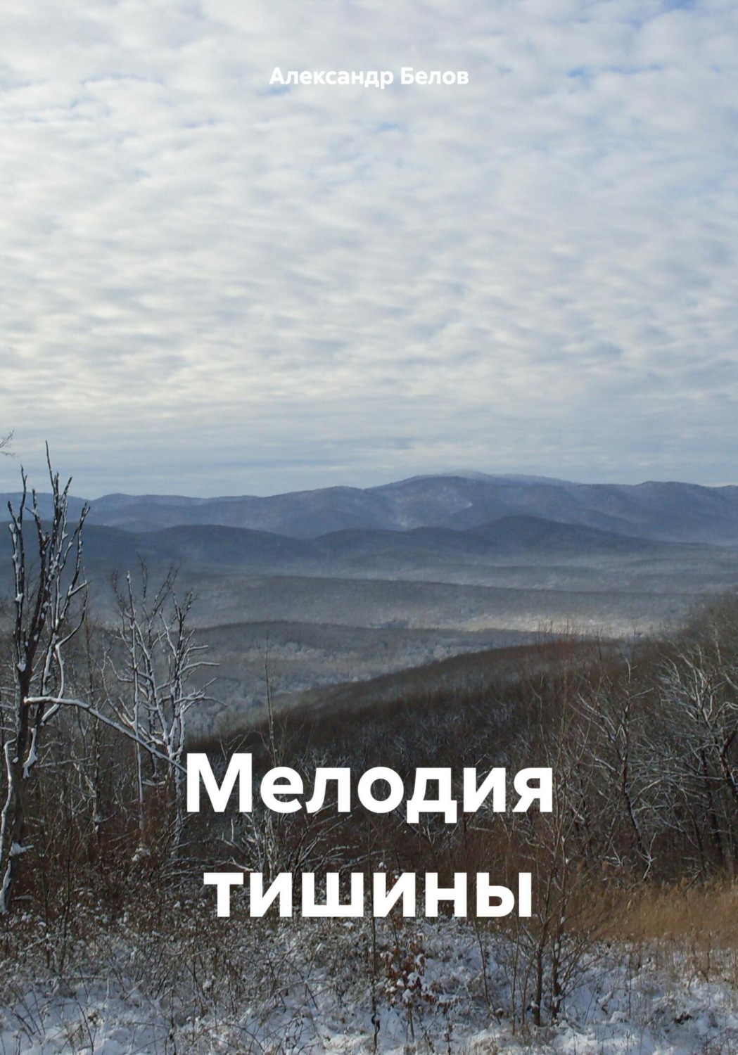Обложка книги «Мелодия тишины»