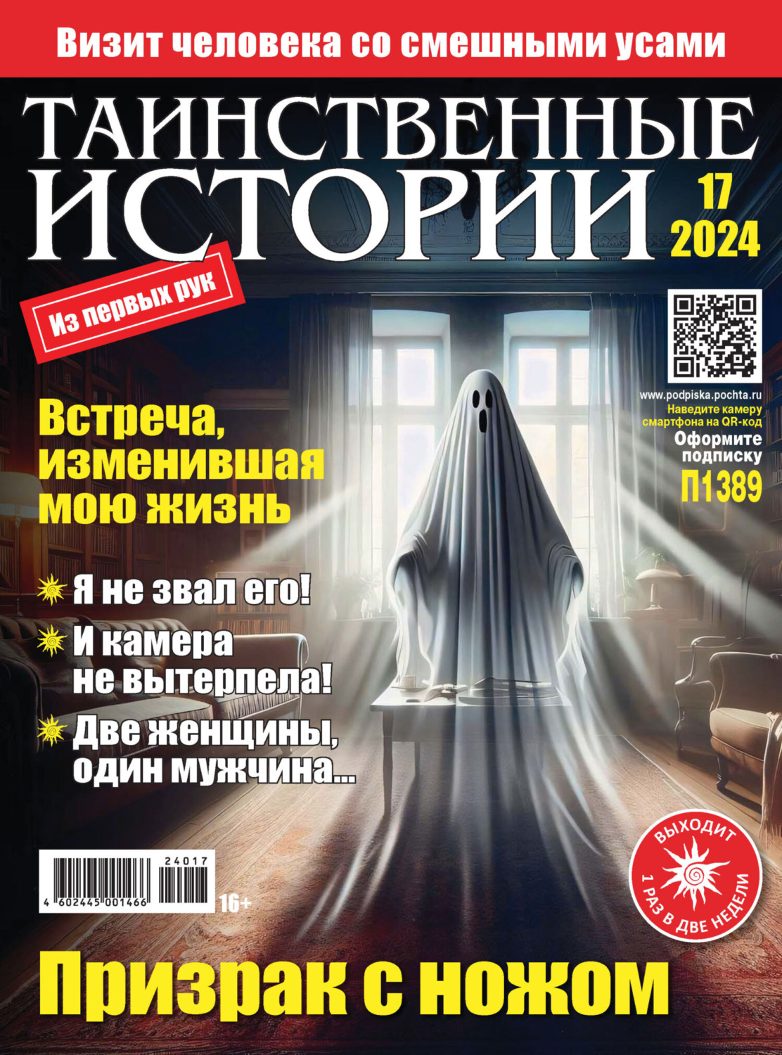 Обложка книги «Таинственные истории №17/2024»