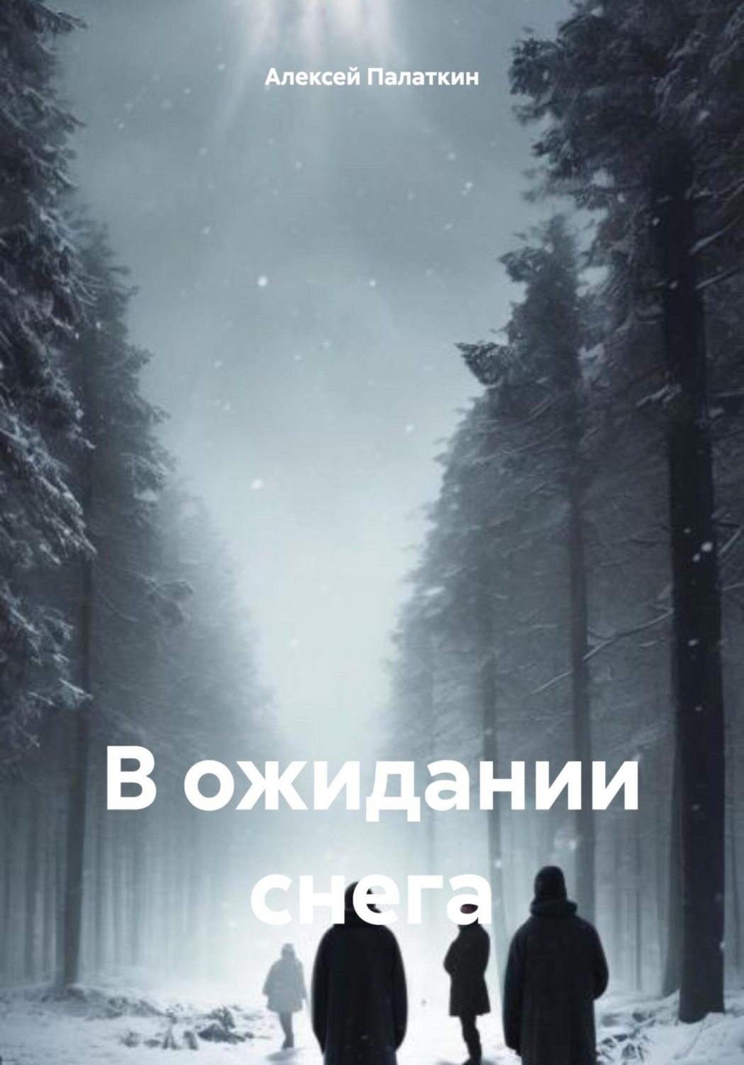 Обложка книги «В ожидании снега»