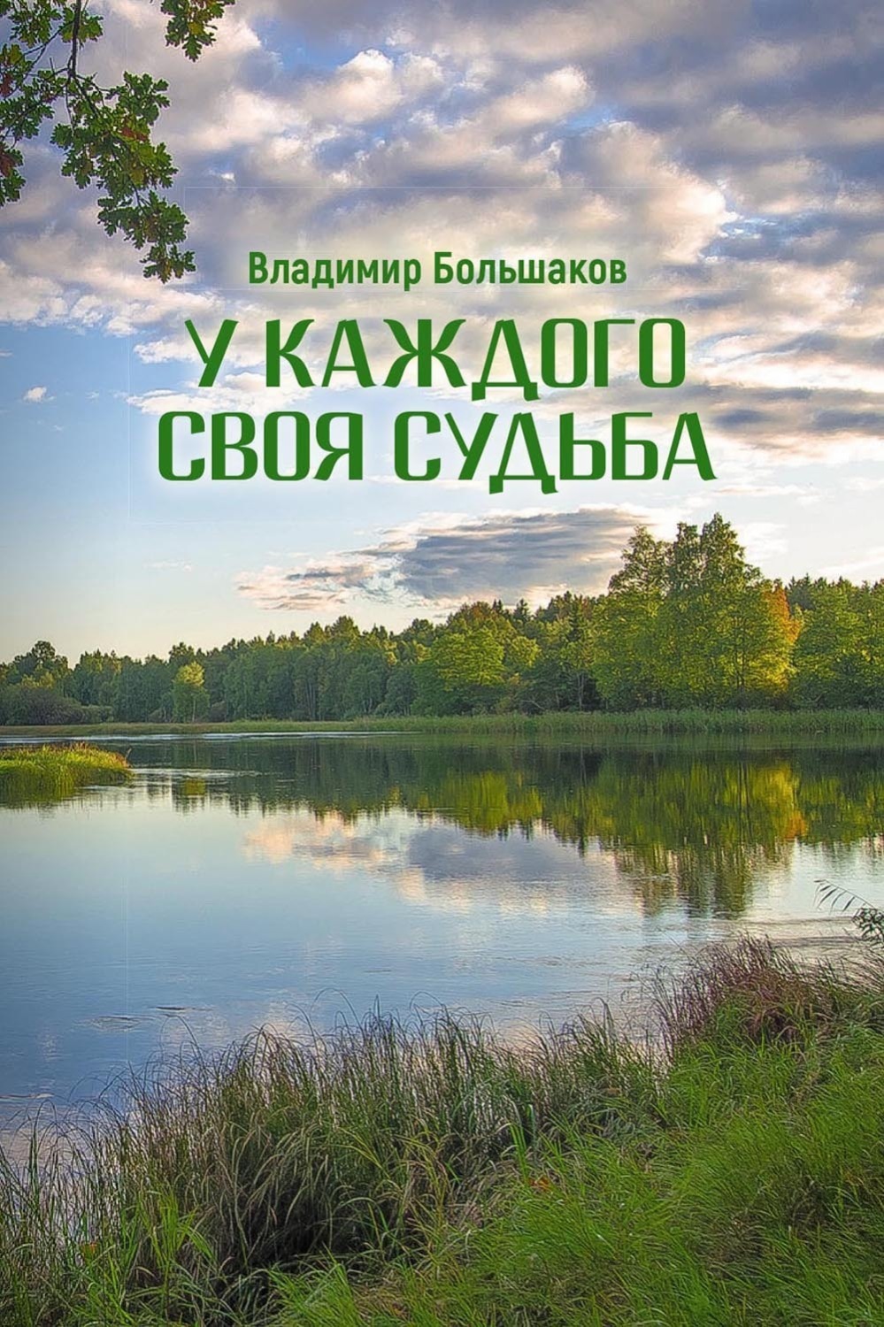Обложка книги «У каждого своя судьба»
