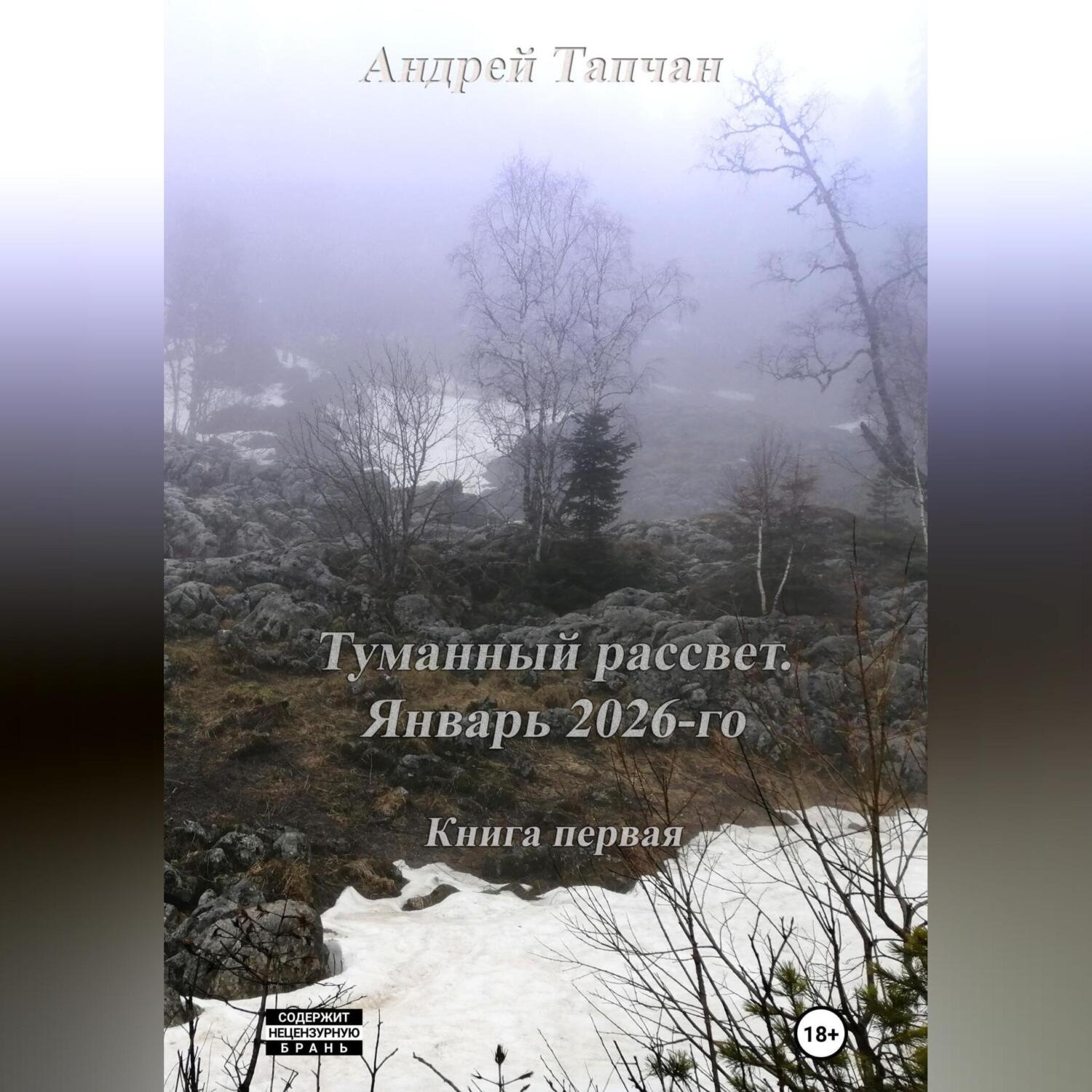 Обложка книги «Туманный рассвет. Книга первая. Январь 2026-го»