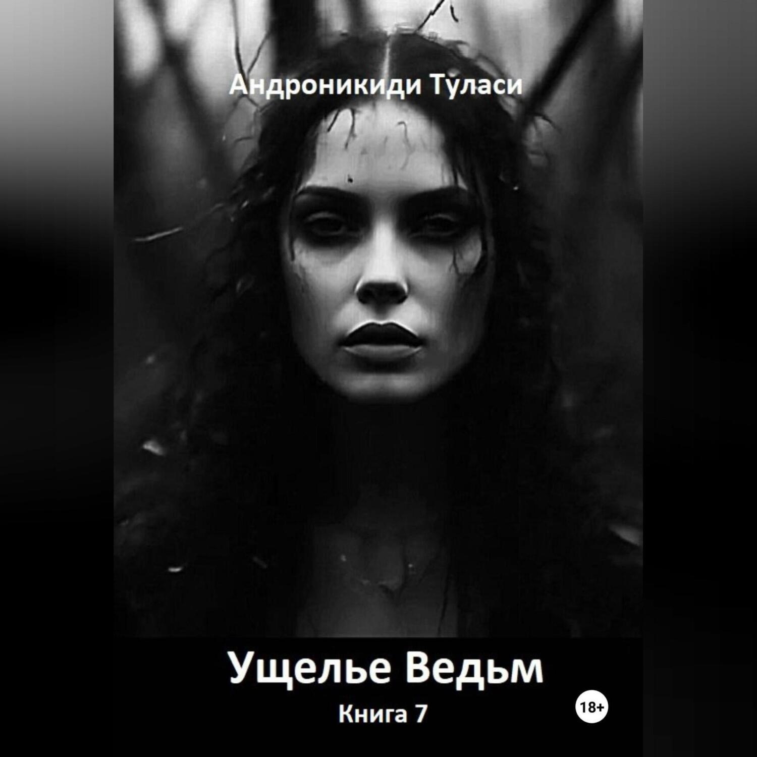 Обложка книги «Ущелье Ведьм. Книга 7»