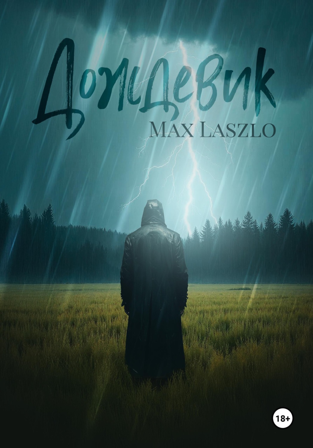 Обложка книги «Дождевик»