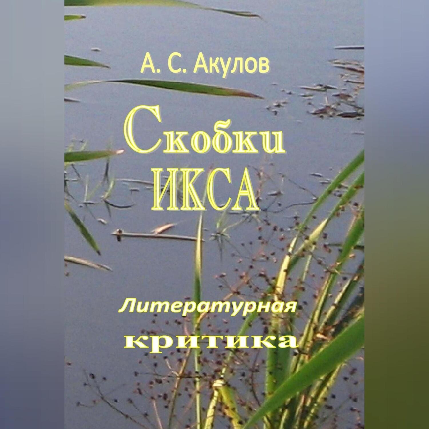 Обложка книги «Скобки икса. Литературная критика»