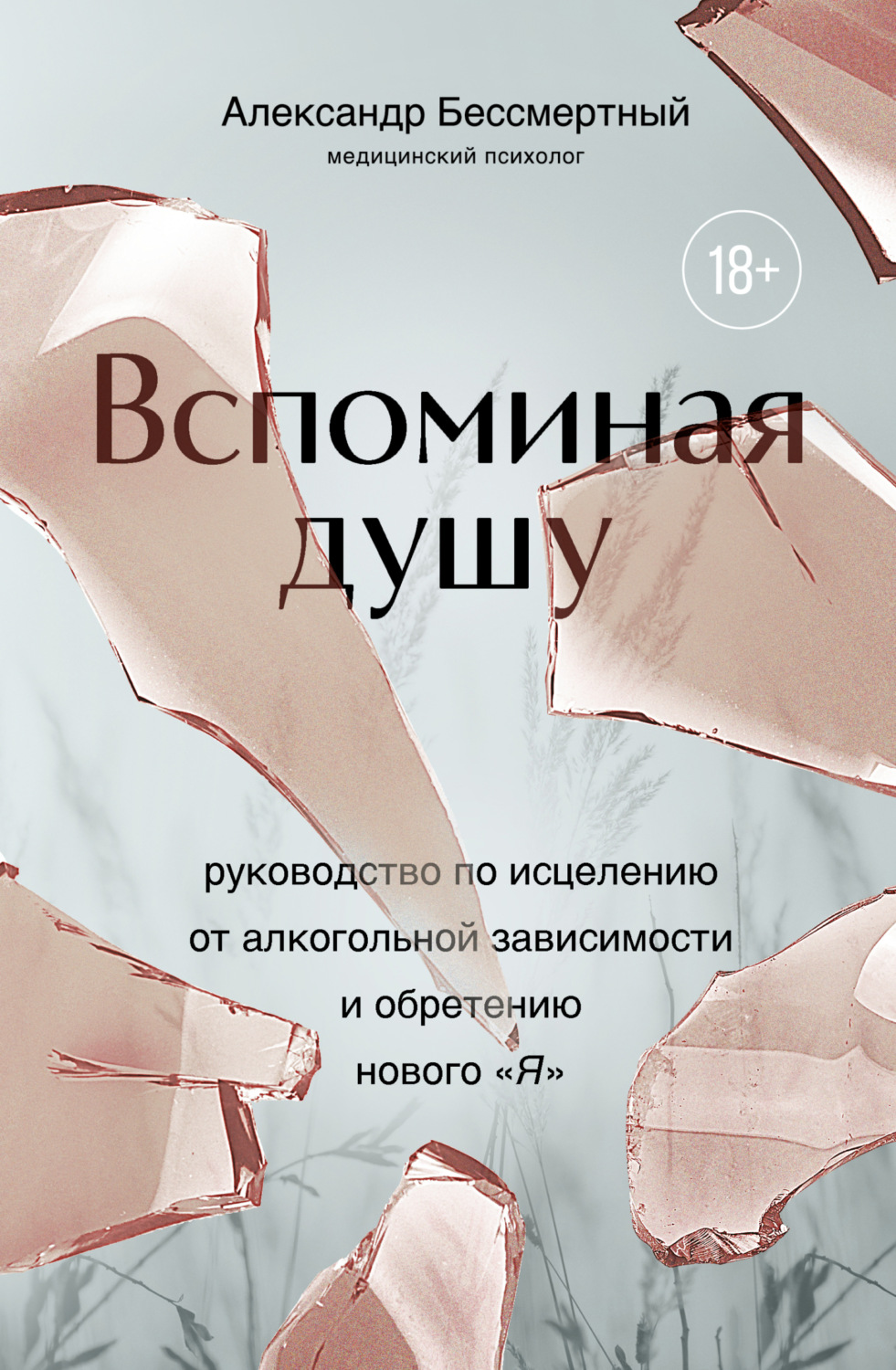 Обложка книги «Вспоминая душу. Руководство по исцелению от алкогольной зависимости и обретению нового «Я»»