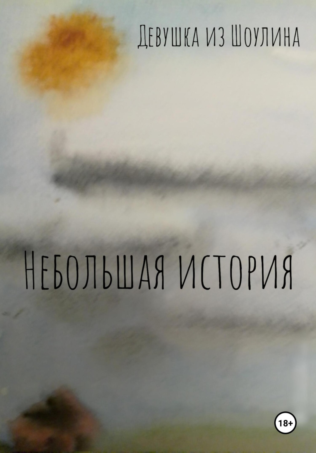 Обложка книги «Небольшая история»