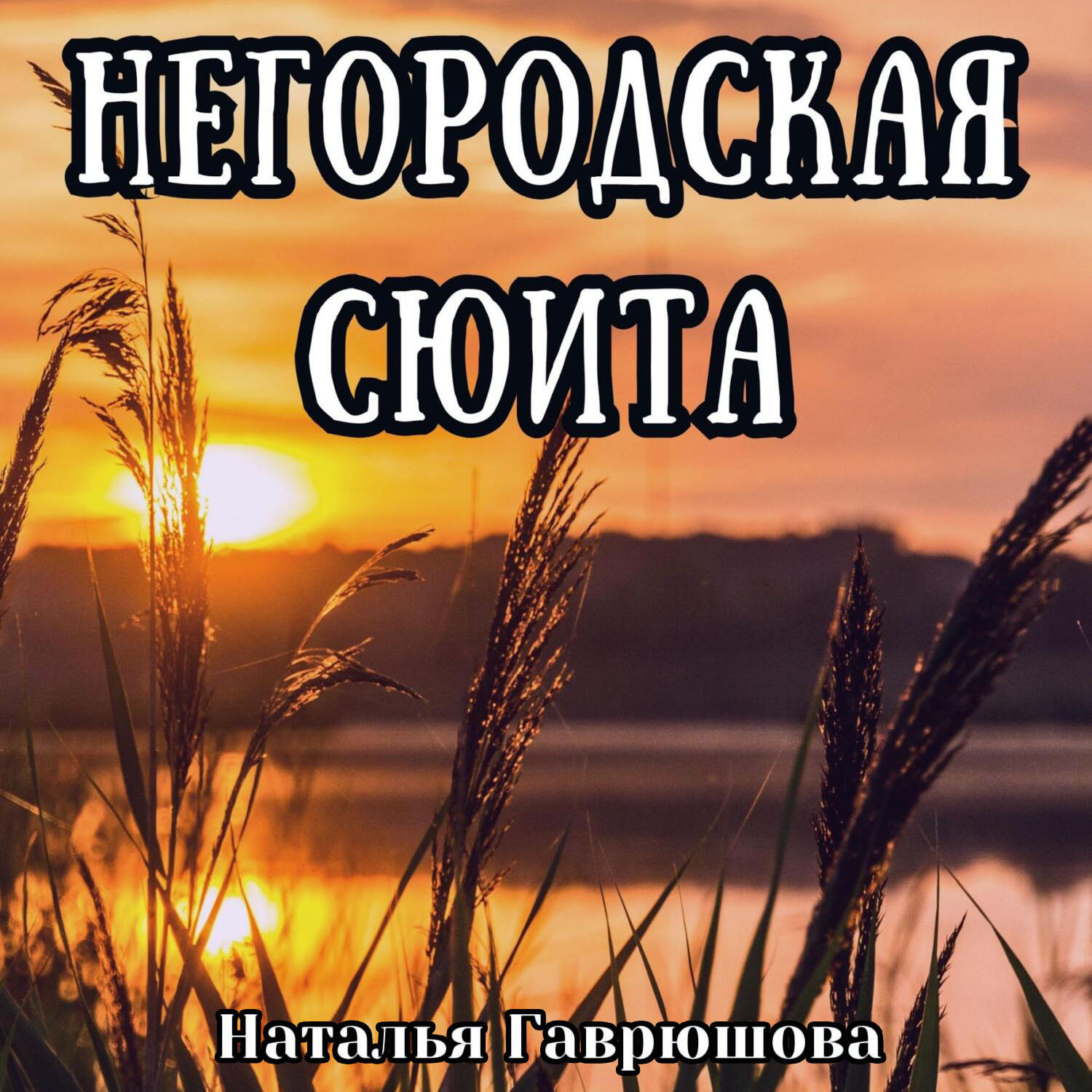 Обложка книги «Негородская сюита»