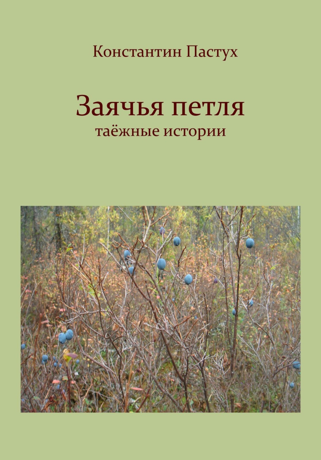 Обложка книги «Заячья петля»