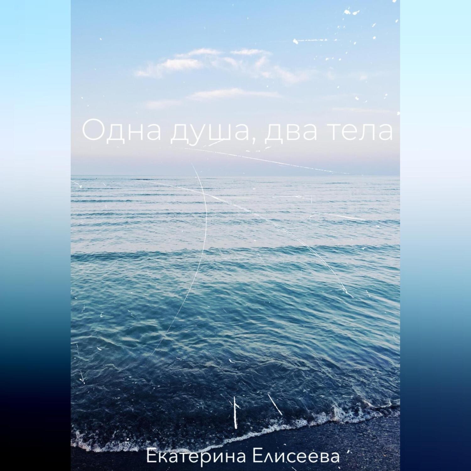 Обложка книги «Одна душа, два тела»