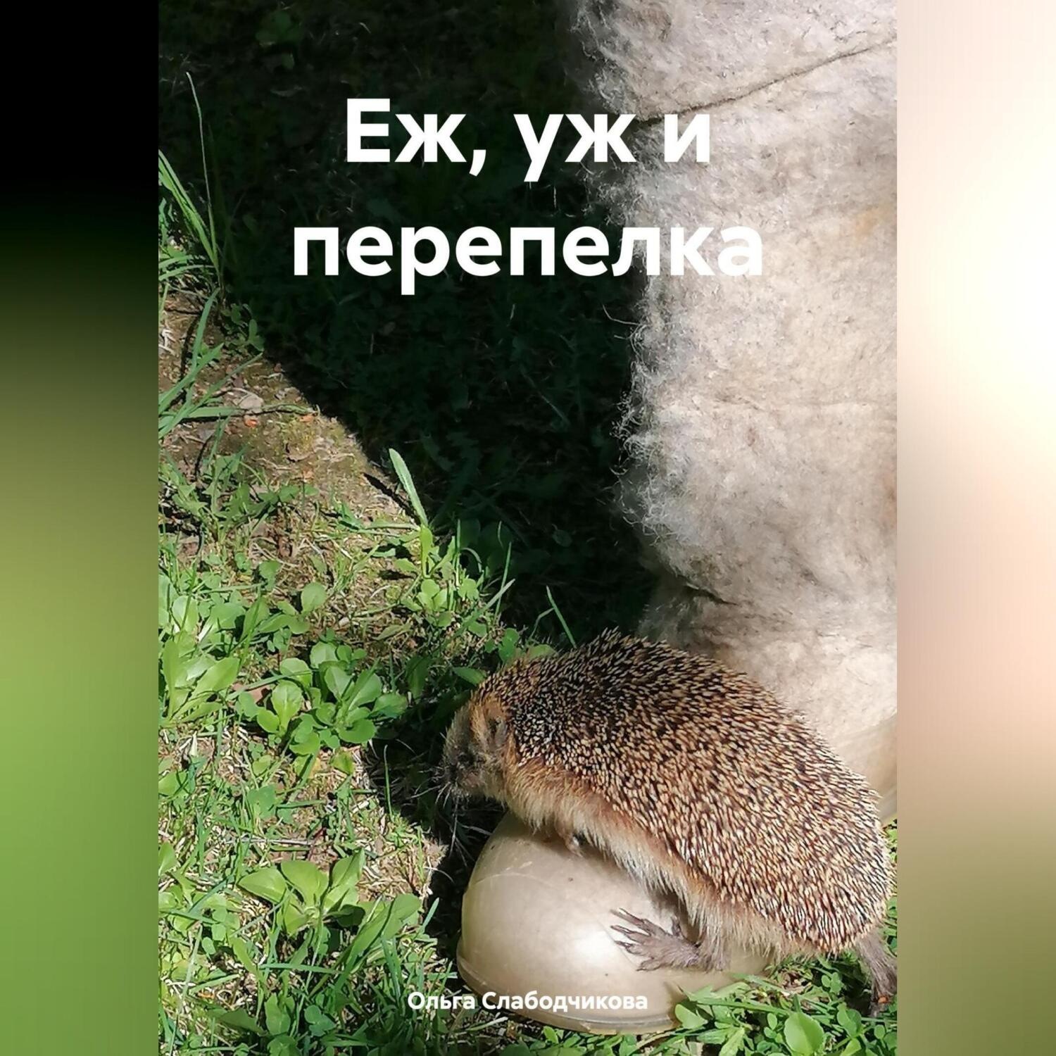 Обложка книги «Еж, уж и перепелка»