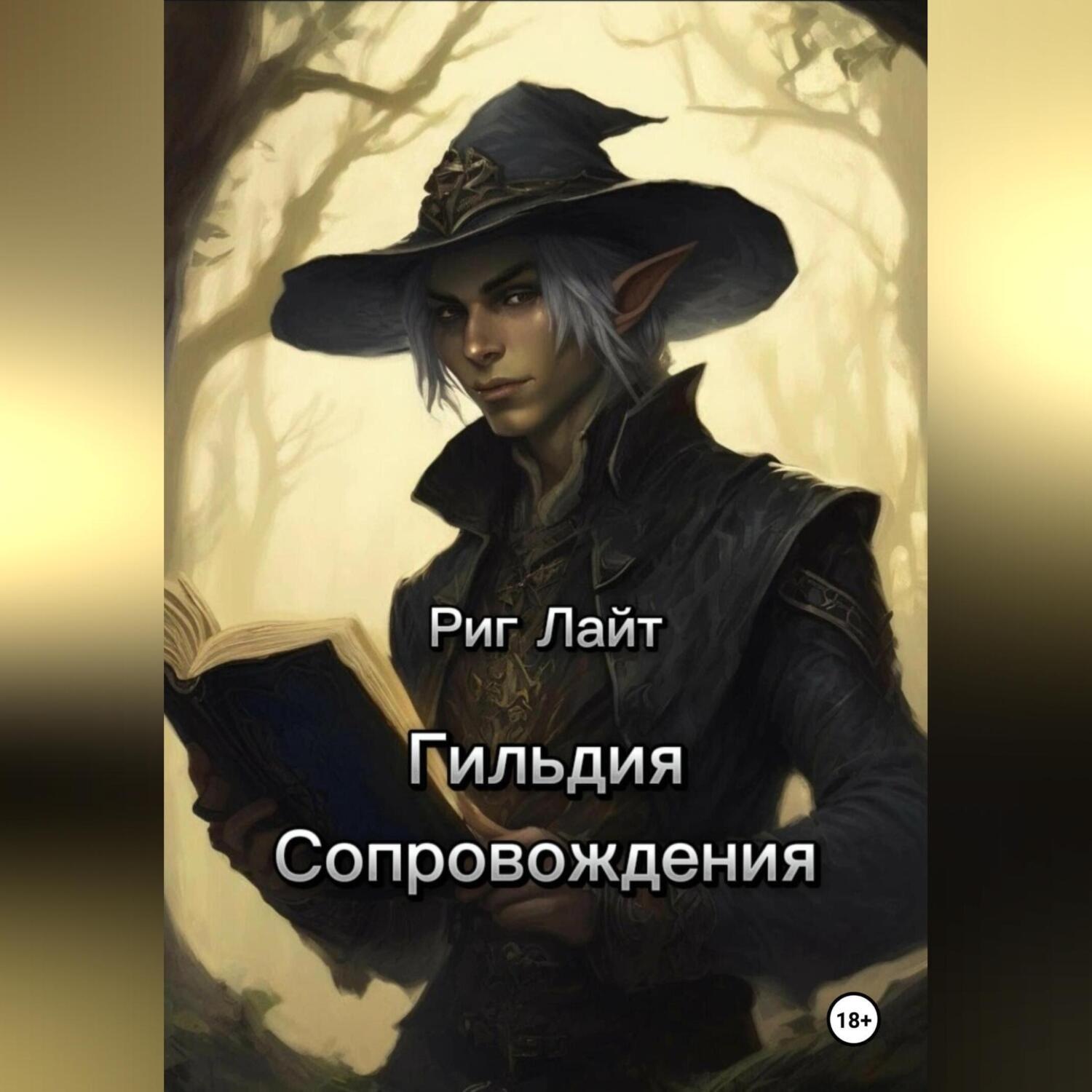 Обложка книги «Гильдия Сопровождения. Том I. Начало»